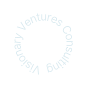 Visionary Ventures Consulting